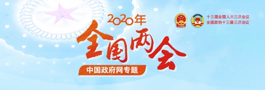 2020年十三届全国两会专题